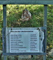 /album/kleeblattweg-3-leutschach-7-oktober-2024/leutschach-kleeblattweg-3-07-10-2024-12-jpg/